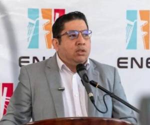 Erick Tejada, exsecretario de la Secretaría de Energía y exgerente de la ENEE.