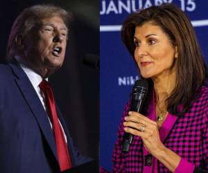 Además del expresidente y gran favorito Donald Trump, seis candidatos, entre gobernadores, empresarios e incluso un pastor, buscan la nominación del Partido Republicano para las elecciones presidenciales estadounidenses de noviembre de 2024.