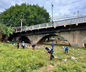 Operativo de limpieza en Campo Motagua.