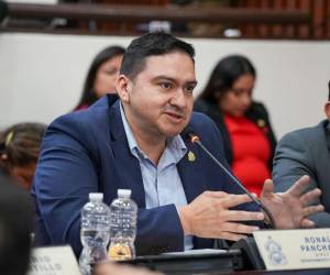 Ronald Panchamé, actual jefe de bancada del partido Libertad y Refundación (Libre).