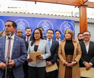 El Consejo Nacional Electoral (CNE) recibió más de 100 autopostulaciones para integrar tanto el CNE como el Tribunal de Justicia Electoral (TJE).