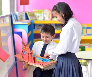 El proyecto de Bibliotecas Blue Lupin comenzó a implementarse en Lempira en el año 2014.