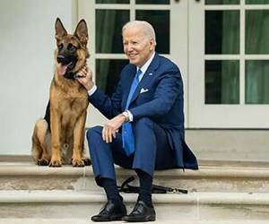 El perro de Biden, Commander, ha mordido a varios agentes del Servicio Secreto en el pasado.