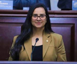 EH Verifica aclara que la diputada <b>Isis Cuéllar</b> no está protegida por inmunidad parlamentaria frente a los 67 cargos por fraude que se le imputan, ya que se trata de delitos comunes ajenos al ejercicio de su función legislativa.