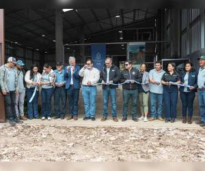 Representantes de Ficohsa, PROVIASA y productores beneficiados participan en la iniciativa impulsada en el marco de los 18 años del Programa De Mi Tierra.