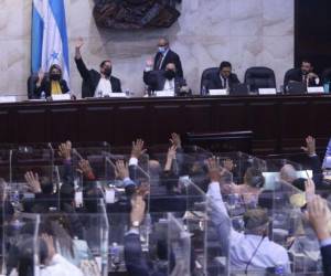 Las parlamentarias de la comisión especial lamentaron la falta de voluntad que existe desde el Legislativo de crear una nueva normativa para llenar los vacíos legales.