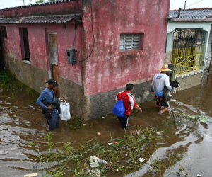 Las lluvias, con rachas de viento que sobrepasaron los 110 kilómetros por hora, dañaron la producción de tabaco en Vueltabajo.