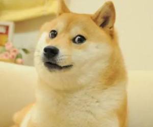 Esta es una de sus expresiones más icónicas por su viralización en Internet.