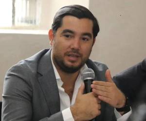 Octavio Pineda fue secretario del Fondo Hondureño de Inversiones Sociales (FHIS) de 2022 a 2024 y de la Secretaría de Infraestructura (SIT) de 2024 a 2026.