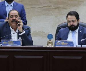 El secretario del Congreso Nacional, Carlos Zelaya, negó en dos ocasiones su presunta implicación en actividades de narcotráfico.