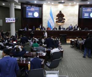 El Presupuesto General 2024 fue aprobado en la sesión legislativa del pasado martes -16 de enero- a altas horas de la noche en el Congreso Nacional.