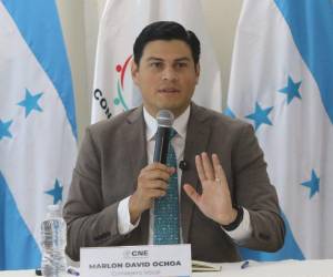 Una denuncia de juicio político contra Marlon Ochoa lo señala de obstruir y entorpecer el proceso electoral de 2025.