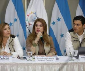 El órgano electoral confirmó la entrega de documentos que, según las consejeras, comprometen la transparencia de los comicios.