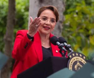 Los países firmantes, que en su mayoría cuentan con gobiernos conservadores, también manifestaron su repudio a las acciones de violencia ejercidas contra miembros de la oposición el pasado jueves y todo acto de violencia política que busca alterar el resultado expresado en las urnas por el pueblo hondureño.