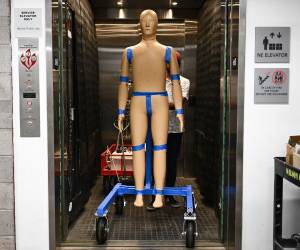 Investigadores en Estados Unidos diseñaron un robot que puede respirar, tiritar y sudar, pero su creación tiene un importante y novedoso fin. Aquí te contamos todos los detalles.