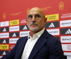 Seleccionador del equipo masculino de España, Luis de la Fuente.