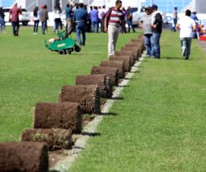 Desde la semana pasada, iniciaron los trabajos de remoción del engramillado viejo del Estadio Nacional “Chelato Uclés”. El contrato fue fijado en un costo de 32.4 millones de lempiras