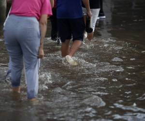 El sur de Brasil se encuentra sumido en una crisis climática sin precedentes, marcada por lluvias devastadoras que han dejado un rastro de muerte y destrucción.