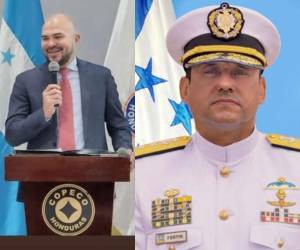 José Jorge Fortín, quien recientemente había sido juramentado como viceministro de Defensa Nacional en diciembre pasado, asumirá como titular de Copeco.