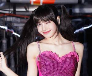 En internet, algunos seguidores vinculan la penalización a una actuación burlesca de Lisa en el cabaret parisino Crazy Horse.