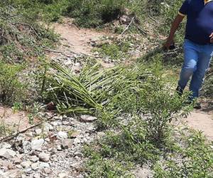 Autoridades hicieron el levantamiento del cuerpo del menor que fue encontrado decapitado a orillas de un río