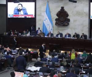 El Código de conducta Ética del servidor público prohibe las prácticas de nepotismo. Sin embargo, lo establecido en este reglamento es ignorado.