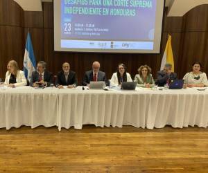 La MIO-Honduras dio a conocer este lunes sus observaciones sobre la labor de la Junta Nominadora.