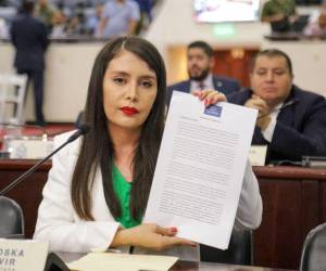 La congresista del Partido Liberal, Iroshka Elvir, pidió discutir medidas más severas contra la delincuencia.
