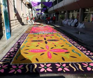 Más de 600 metros de tradición, las alfombras en el centro histórico son un esfuerzo coordinado entre la Iglesia y la Alcaldía, que convierte las calles en una galería al aire libre para recibir la Semana Mayor.