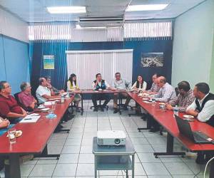 La represa será construida sobre el río Chamelecón para evitar las severas inundaciones en el Valle de Sula.