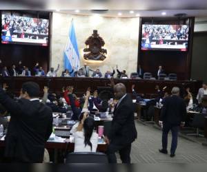 Bancadas piden transparencia y más tiempo para decidir sobre 18 adendas de contratos de energía