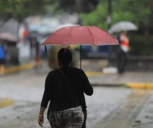 En la capital se esperan chubascos leves.