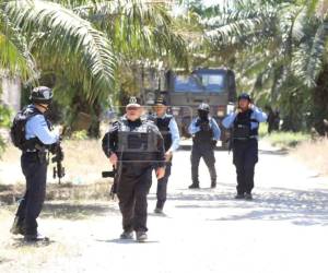 El Gobierno de Honduras anunció la realización de un censo agrario en el Bajo Aguán tras la masacre que dejó 20 campesinos muertos en Colón.