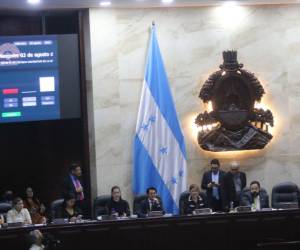 Amparándose en un artículo constitucional, el Congreso Nacional ha otorgado millonarias cantidades a diputados para ayudas a las comunidades, de los cuales aún no existen liquidaciones, pese a varias peticiones al portal de transparencia.