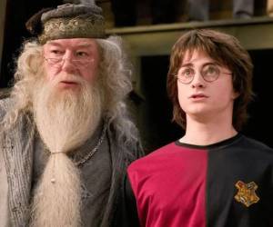 La muerte del actor ha consternado a todos los seguidores de la saga Harry Potter.