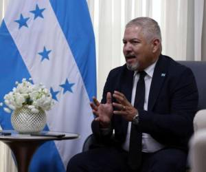 El canciller de Honduras, Enrique Reina, señaló que hay grupos políticos que andan buscando desestabilizar al país.