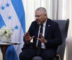 Enrique Reina acusó a los miembros del Bloque de Oposición de representar a los 13 años de “oscurantismo” tras el golpe de Estado ocurrido en 2009, en contra del expresidente Manuel Zelaya, esposo de la actual mandataria hondureña.