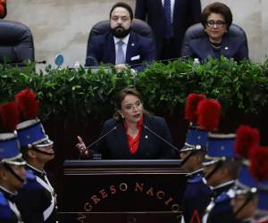 “Nos encontramos en un momento crítico de la historia, donde la refundación no es una consigna, sino imperativo, definitivo y obligatorio”, fue parte del discurso de Castro de Zelaya.