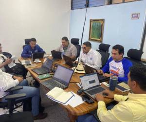 La misión técnica de Senasica ha sostenido reuniones con representantes de la Andah y Senasa.