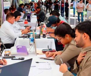 El cumplimiento de la ley estará bajo la supervisión de la Secretaría de Trabajo, que deberá vigilar e inspeccionar su aplicación.