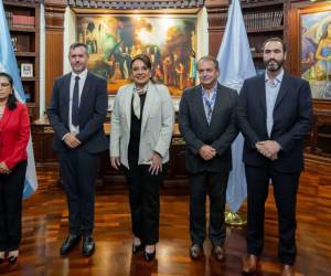 Los expertos y el jefe de Asuntos Políticos de la ONU, Andrés Salazar, se reunieron el pasado miércoles con la presidenta Xiomara Castro.