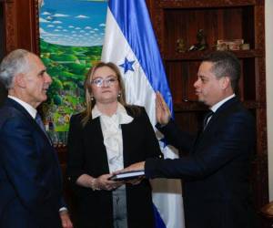 El presidente Nasry Asfura juramentó este miércoles a Héctor Vidal Cerrato como presidente ejecutivo del Banco Nacional de Desarrollo Agrícola (Banadesa).