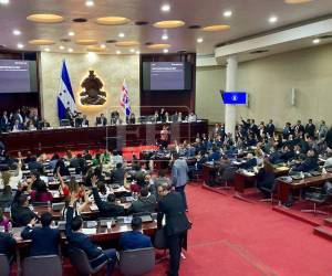 Sin recargos, multas e intereses, este paquete de amnistías aprobado en el Congreso Nacional beneficiará a muchos hondureños.