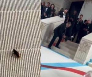 El insecto caminó varios metros en la alfombra de la Met Gala.