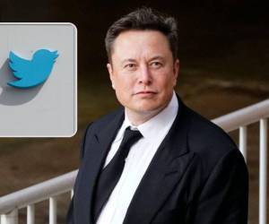 Elon Musk, dueño de Twitter desde finales del año pasado.