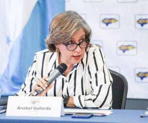 “Aun con intentos claros de obstaculización, el CNE avanzó y cumplió con su mandato”, señaló Gallardo.