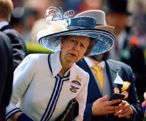 La princesa canceló su agenda y retomará sus actividades hasta que se recupere en su totalidad.