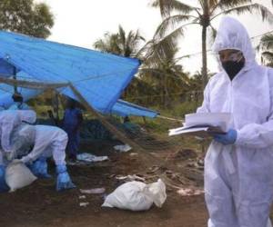 Mediante un comunicado, el ministro de salud de Ecuador anuncio el registro del primer caso de gripe aviar en un humano.