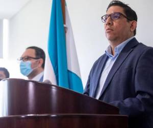 <b>Erick Tejada, gerente interino de la Empresa Nacional de Energía Eléctrica (ENEE).</b>