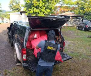 En sacos rojos eran transportados varios kilos de supuesta cocaína y marihuana, los cuales fueron decomisados en la aldea El Playón, municipio de Pimienta, Cortés.